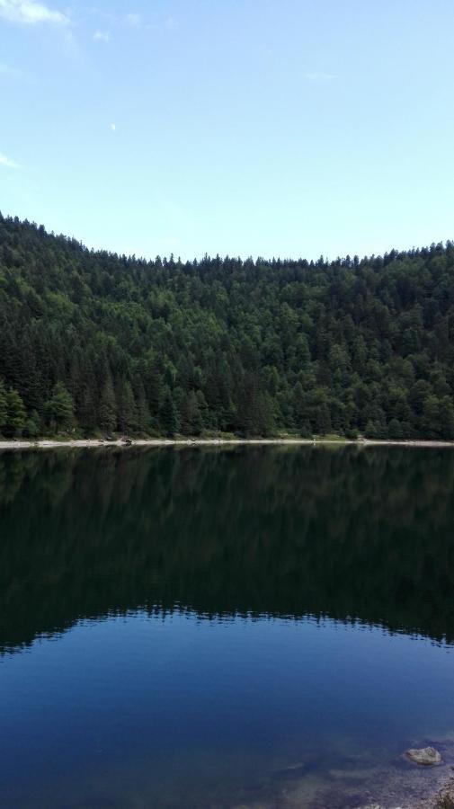 La Bressaude - Vacances-En-Vosges - Menage Compris La Bresse Zewnętrze zdjęcie