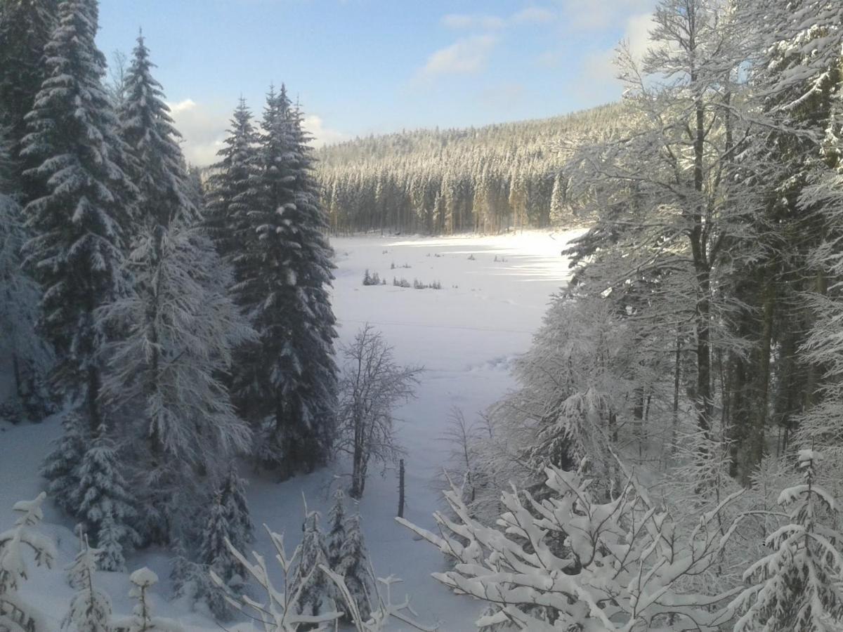 La Bressaude - Vacances-En-Vosges - Menage Compris La Bresse Zewnętrze zdjęcie