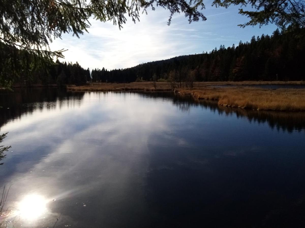 La Bressaude - Vacances-En-Vosges - Menage Compris La Bresse Zewnętrze zdjęcie