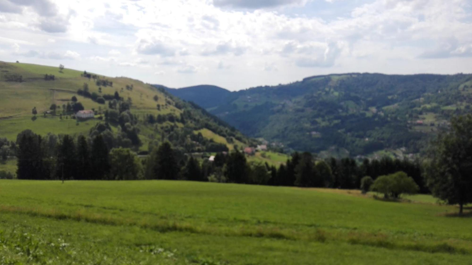 La Bressaude - Vacances-En-Vosges - Menage Compris La Bresse Zewnętrze zdjęcie