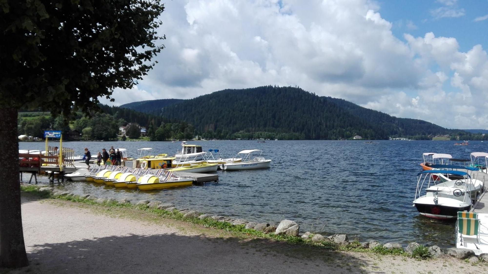 La Bressaude - Vacances-En-Vosges - Menage Compris La Bresse Zewnętrze zdjęcie