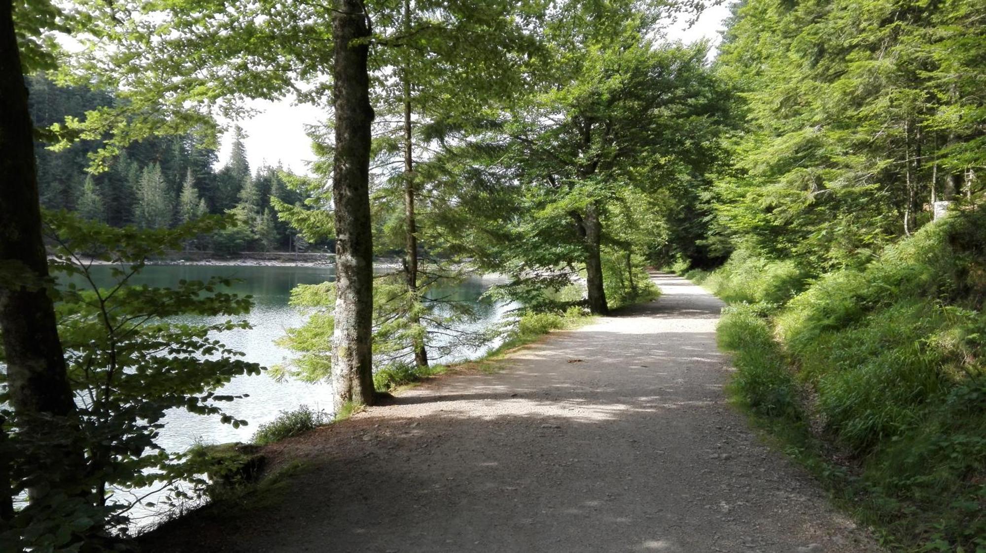 La Bressaude - Vacances-En-Vosges - Menage Compris La Bresse Zewnętrze zdjęcie