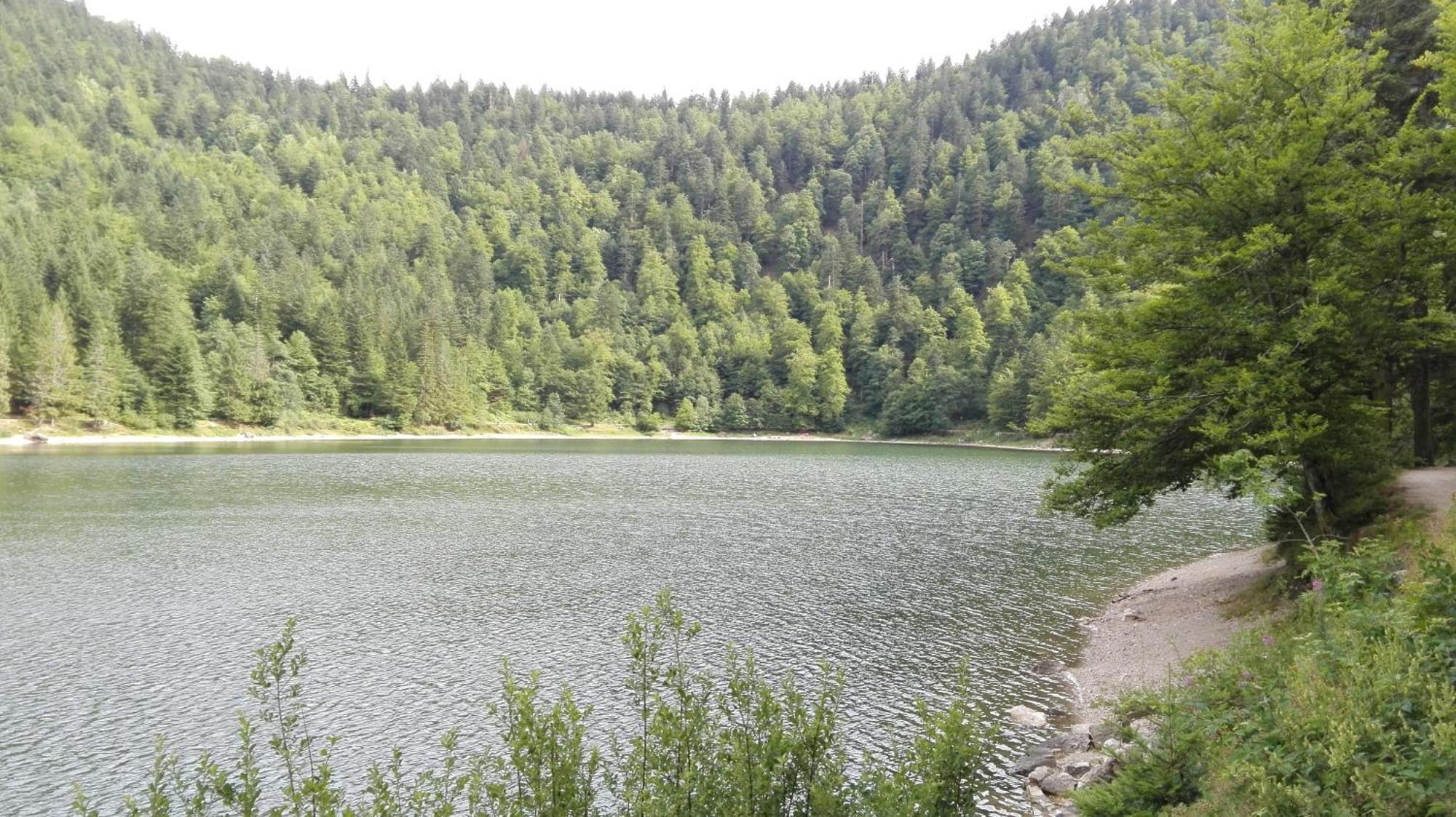 La Bressaude - Vacances-En-Vosges - Menage Compris La Bresse Zewnętrze zdjęcie