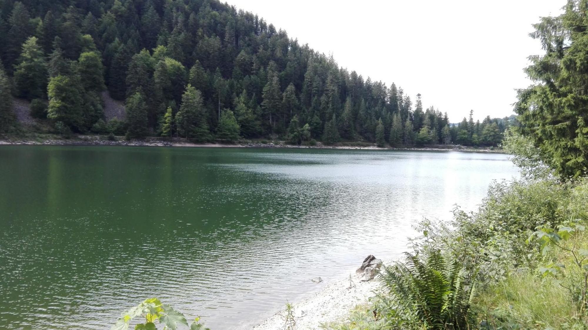 La Bressaude - Vacances-En-Vosges - Menage Compris La Bresse Zewnętrze zdjęcie